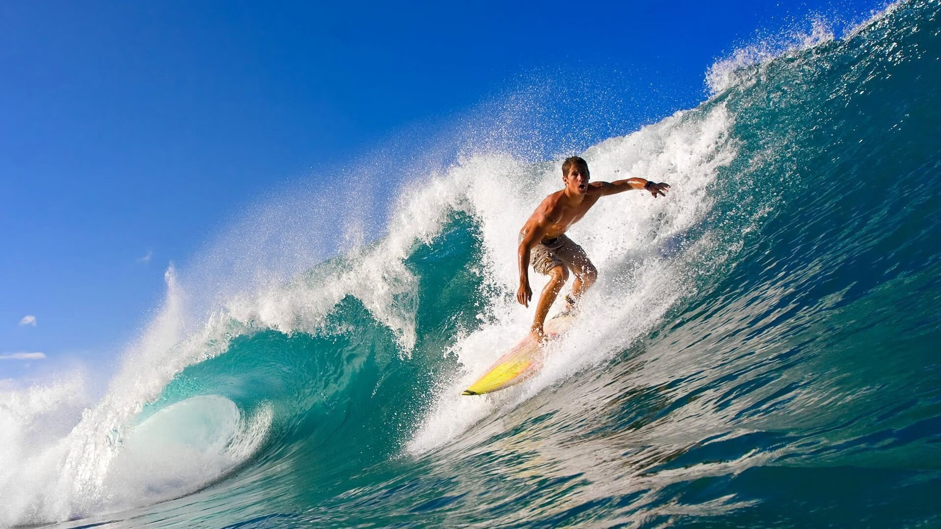 乡村运动会,乡村振兴新动力,乡村运动建设