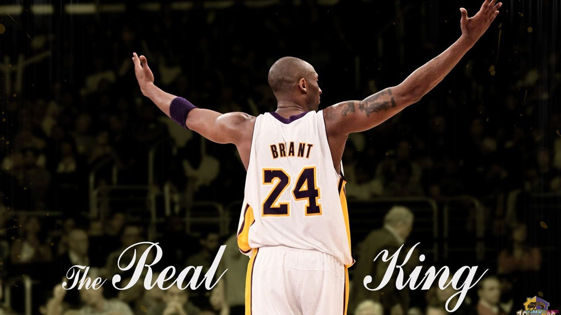 未来热门车手：谁可能成新一代焦点？，未来车介绍